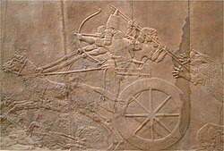 Relief of Ashurbanipal hunting a Mesopotamian lion,[27] from the Northern Palace in Nineveh, as seen at the British Museum