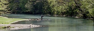 Trout fishing on Maramec Spring in Missouri