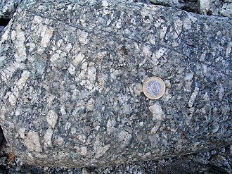 Granites often have large feldspathic phenocrysts. This granite, from the Swiss side of the Mont Blanc massif, has large white phenocrysts of plagioclase (that have trapezoid shapes when cut through). 1 euro coin (diameter 2.3 cm) for scale.