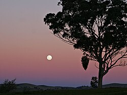 A full moon rising, seen through the Belt of Venus