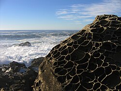 Tafoni at Salt Point State Park, Sonoma County, California