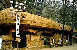 Traditional farmer's house; Folk Village, Seoul