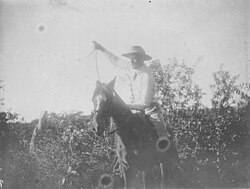Photograph of Hawaiian Paniolo