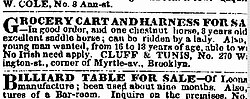 New York Times, 1854 ad, reading "No Irish need apply."