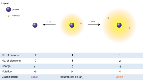 Hydrogen atom (center) contains a single proton and a single electron. Removal of the electron gives a cation (left), whereas the addition of an electron gives an anion (right). The hydrogen anion, with its loosely held two-electron cloud, has a larger radius than the neutral atom, which in turn is much larger than the bare proton of the cation. Hydrogen forms the only charge-+1 cation that has no electrons, but even cations that (unlike hydrogen) retain one or more electrons are still smaller than the neutral atoms or molecules from which they are derived.