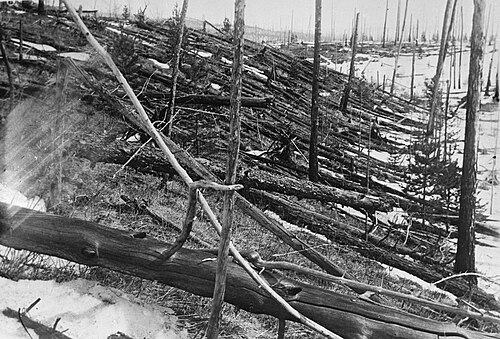 Damage to trees caused by the Tunguska event. The object, just 50–80 metres (160–260 ft) across, exploded 6–10 km (3.7–6.2 mi) above the surface, shattering windows hundreds of kilometres away.