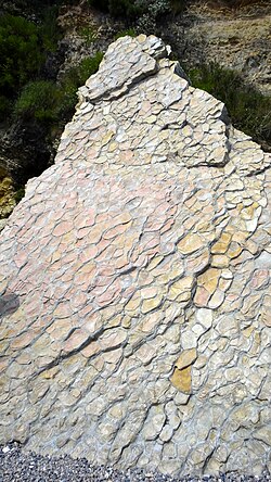 Concretionary nodular limestone at Jinshitan Coastal National Geopark, Dalian, China