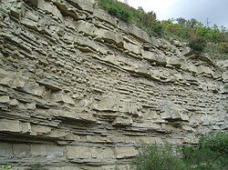 Gorgoglione Flysch, Miocene, South Italy