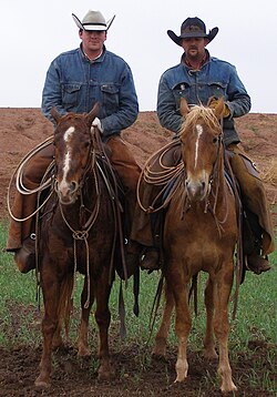 Modern working cowboys wearing cowboy hats. While providing less protection from the sun, their turned-up brims prevent them from being as easily knocked off during lasso use.