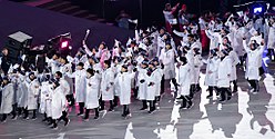 The unified Korean team at the 2018 Winter Olympics opening ceremony