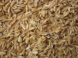 Rice husk