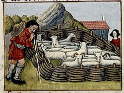 Painting of shepherd with sheep