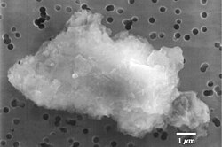 Smooth chondrite interplanetary dust particle.