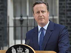 David Cameron stands behind a podium