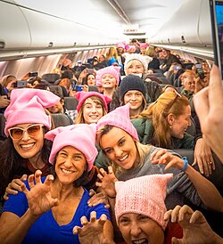 Sewn and knit pussyhats being worn on a plane to Washington, D.C.
