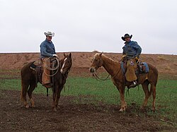 Modern Texas cowboys