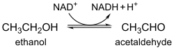 In the absence of oxygen, yeast cells will take the pyruvate produced by glycolysis and reduce it into acetaldehyde which is further reduced into ethanol "recharging" the NAD+ co-enzymes that is needed for various metabolic processes of the yeast.