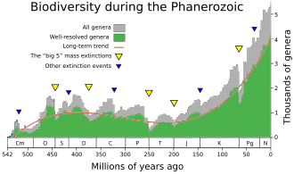 Declines in the numbers of terrestrial and aquatic genera at times of extinction events.