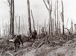 US Marines in the Meuse-Argonne offensive.