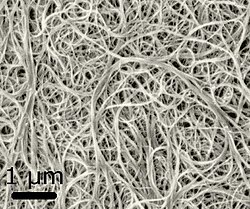 A scanning electron microscopy image of carbon nanotube bundles