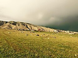 Nineveh Plains (Bozan, Iraq)