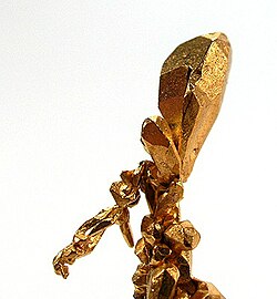 Native gold. Rare specimen of stout crystals growing off of a central stalk, size 3.7 x 1.1 x 0.4 cm, from Venezuela.