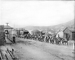 A burro-drawn wagon hauling lumber and supplies into Goldfield, Nevada, ca.1904. In 1903 only 36 people lived in the new town. By 1908 Goldfield was Nevada's largest city, with over 25,000 inhabitants.