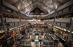 Interior of the Pitt Rivers Museum