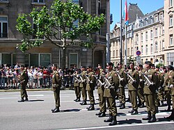 Luxembourgish soldiers on parade during National Day, Grand Duke Day, 23 June