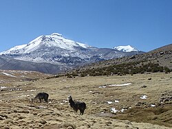 Landscape under Guallatiri, with the fumaroles visible