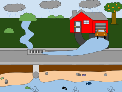 Precipitation washing contaminates into local streams