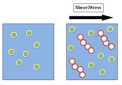 Transient hydroclustering of particles in a solution