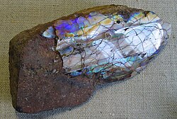 Polished opal on trachyte