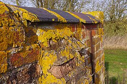 Lichen covering a brick wall