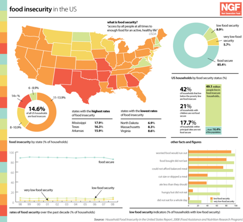 Infographic about food insecurity in the US