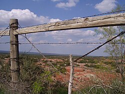 Barbed wire fence in line brace