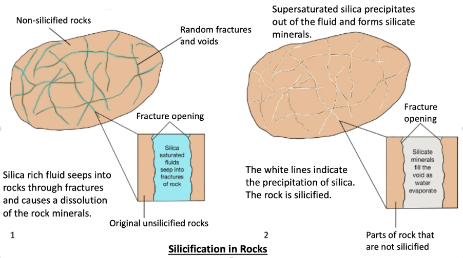 This diagram shows the mechanics of silicification through dissolution of rock materials and precipitation of silica. Silica enriched fluids are usually supersaturated with silica so that when they seep into voids, silica precipitate out. On the other hand, these fluids are relatively undersaturated with other rock minerals, which leads to a dissolution of the minerals. These materials are carried away by the fluids and are replaced by silica.
