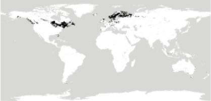 Spodosols of the world
