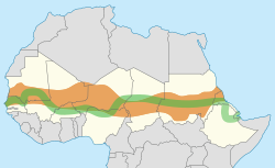 The Great Green Wall, participating countries and Sahel. In September 2020, it was reported that the GGW had covered only 4% of the planned area.[114]