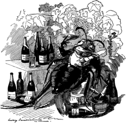 "The phylloxera, a true gourmet, finds out the best vineyards and attaches itself to the best wines."Cartoon from Punch, 6 Sep. 1890)