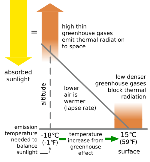 Greenhouse gases (GHGs) in dense air near the surface absorb most of the longwave radiation emitted by the warm surface. GHGs in sparse air at higher altitudes—cooler because of the environmental lapse rate—emit longwave radiation to space at a lower rate than surface emissions.