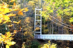 One of several footbridges that span Cornell's gorges