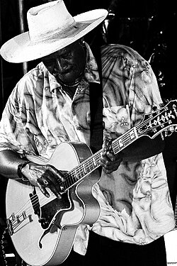 Taj Mahal at the Liri Blues Festival, Italy, in 2005