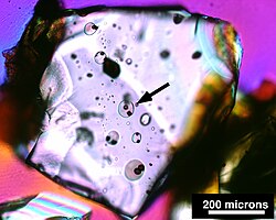 Multiple melt inclusions in an olivine crystal. Individual inclusions are oval or round in shape and consist of clear glass, together with a small round vapor bubble and in some cases a small square spinel crystal. The black arrow points to one good example, but there are several others. The occurrence of multiple inclusions within a single crystal is relatively common