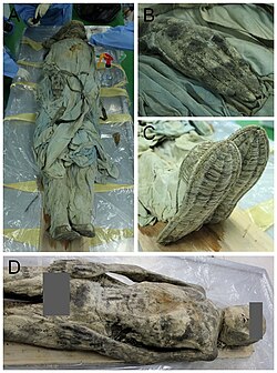 (A) Removal of clothing. (B) and (C) Very well preserved human and cultural remains. (B) is hand; (C) is straw shoes. (D) The mummy examined in this study.