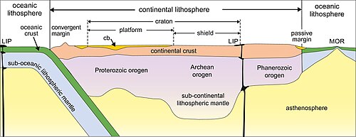 Idealized cross-section of Earth's lithosphere (Abbreviations: cb=cratonic basin, LIP=large igneous province, MOR=mid-ocean ridge)
