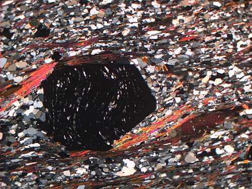 A cross-polarized thin section image of a garnet-mica-schist from Salangen Municipality, Norway showing the strong strain fabric of schists. The black crystal is garnet, the pink-orange-yellow colored strands are muscovite mica, and the brown crystals are biotite mica. The grey and white crystals are quartz and (limited) feldspar.