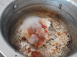 Hyphae growing on tomato sauce (the pale oblong objects to the side are rice grains)