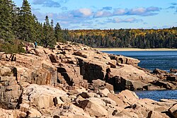 Rocky shoreline in Acadia National Park