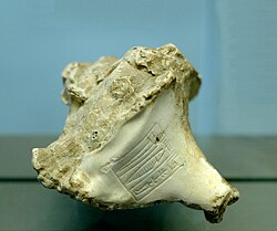 Sea shell of a murex bearing the name of Rimush, king of Kish, c. 2270 BC, Louvre, traded from the Mediterranean coast where it was used by Canaanites to make a purple dye.